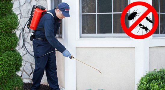 Evka 2 Böcek ve Haşere İlaçlama böcek ilaçlama ve haşere kontrolü — ilaclama-tr.com